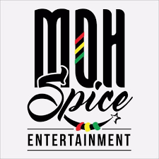 Client Logo 4